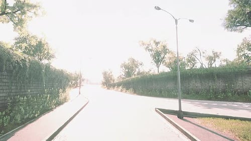 Foto da estrada que atravessa o meio da floresta