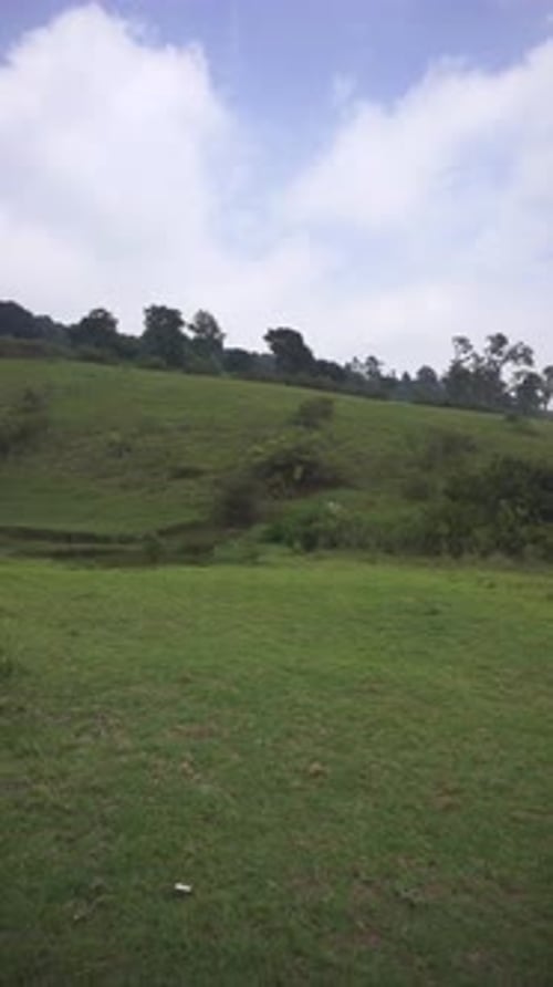 beautiful vertical video portrait natural scenery mountains natural panorama hills, and forest