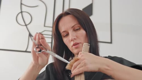 Woman Cuts Hair in a Bright Salon