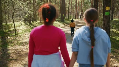 Dos niños caminan por un sendero forestal tomados de la mano en un día soleado de primavera
