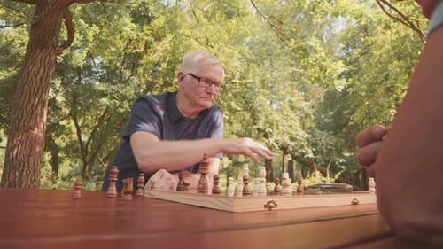 Senior Men Playing Chess in Park