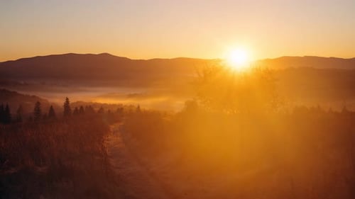Beautiful Misty Dawn in the Mountains Autumn Sunrise Landscape in Carpathian Ukraine