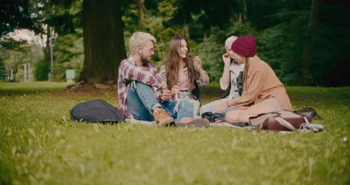 Happy Young Friends Enjoying During Picnic At Park