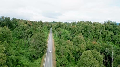 Aerial tracking of car driving through forest road surrounded by lush trees