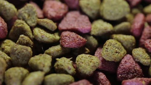 Close Up of Colorful Dry Pet Food