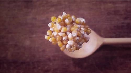 Popcorn Seed