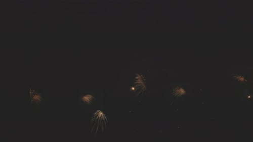 Brilliant Fireworks Exploding in the Night Sky