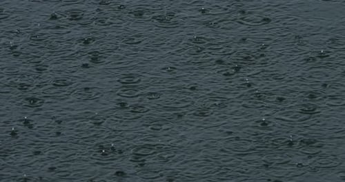 Rain dropping on surface water.