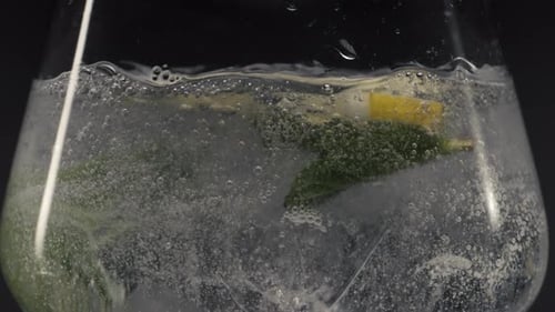 Sparkling tonic drink with lemon and mint