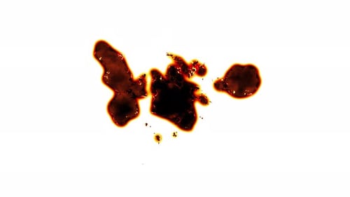 Burning Liquid Reveal Transition with Abstract Fiery Edges