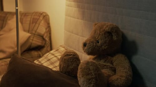 Plush Teddy Bear on Brown and Beige Plaid Couch