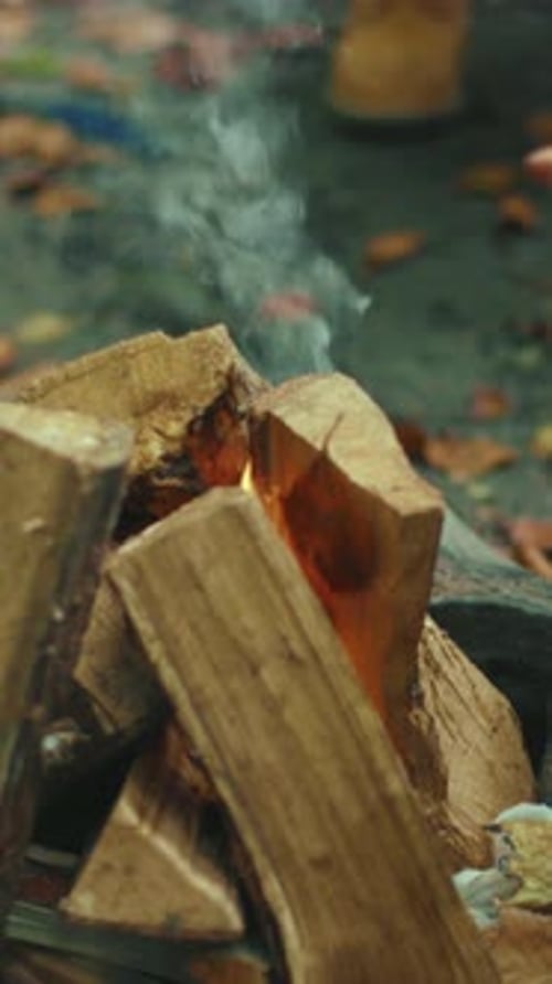 Close Up Hands Father and Daughter in the Woods Sets Up Campfire Sticks Talking Smiling Feel Happy