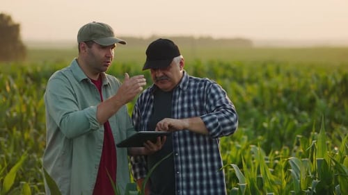 Two Farmers Standing On Field And Discussing Plan Of Seeding And Harvest Viewing Data On Tablet
