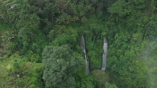 Stunning Fiji Waterfall hidden in lush green tropical jungle Bali, aerial