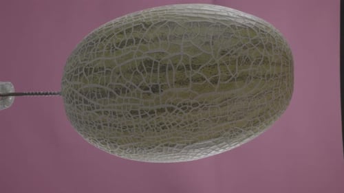 Rotierende Melone mit Schlaufe auf fuchsiafarbenem Bildschirm für Chroma Key