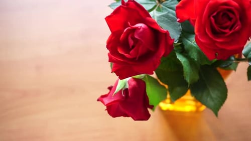 Red Rose Flowers Bunch