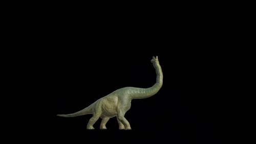 Rindenschleife für Brachiosaurus-Dinosaurier