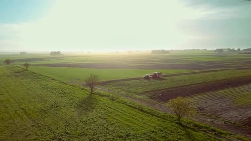 Combine Harvester And Tractor Working On The Cereal Field. Aerial View Video.