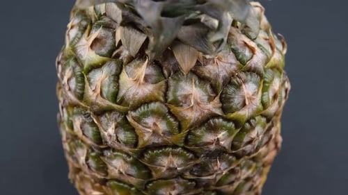 abacaxi de perto