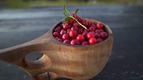 Airelles rouges dans une tasse en bois dans la campagne, plan rapproché