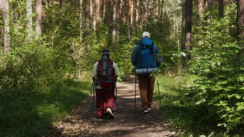 Two Hikers Traversing Dirt Trail Through Dense Forest