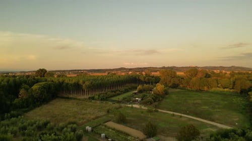 Tuscany Green Fields On Sunset part5