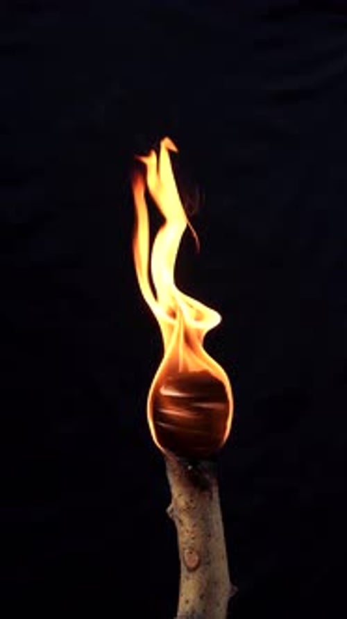 Torche ardente avec flamme brillante sur fond noir