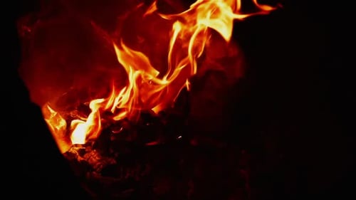Feuer