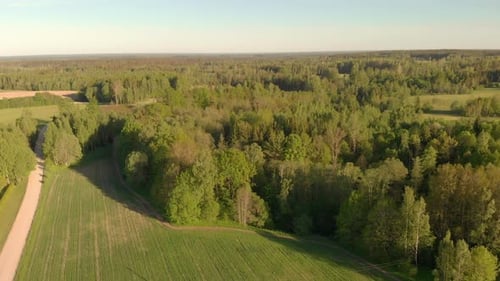 Drone flyes forward over green field in spring, northern Europe landscape