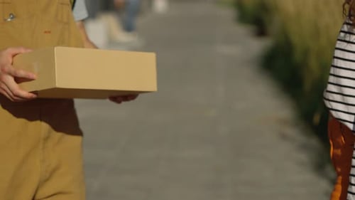 Delivery Person Passing Box to Young Woman Outdoors