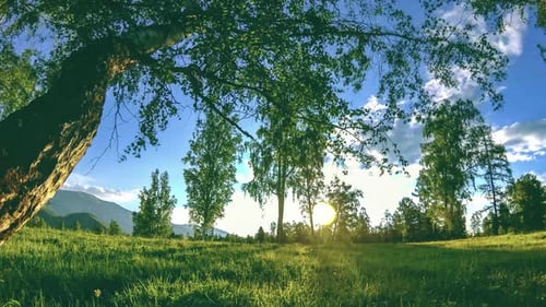 Timelapse de Mountain Meadow en été ou en automne