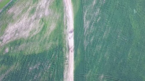 Horseback riding in a green Badlands terrain, aerial footage