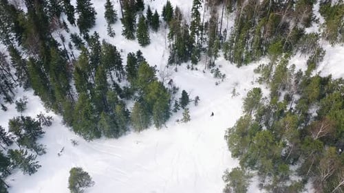 Snowmobiler Riding Through Snowy Forest Trail