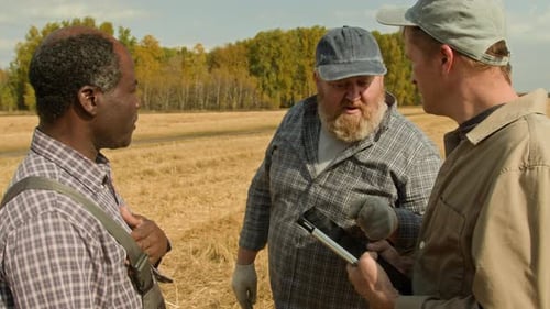 Group Of Farmers Talking in Wheat Field