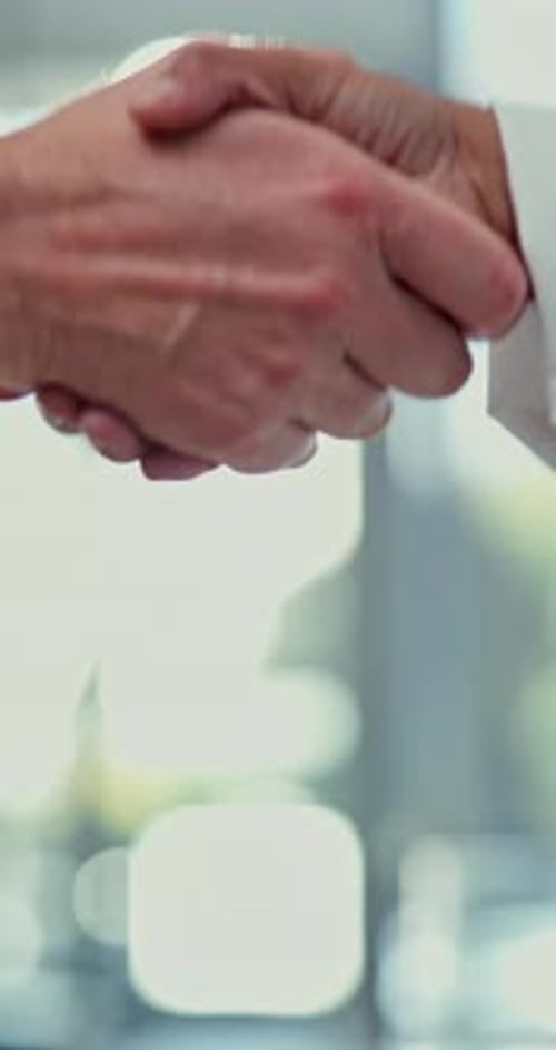 Business Handshake at the Office