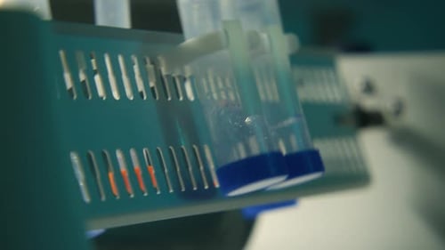 Test Tubes in a Laboratory Rack