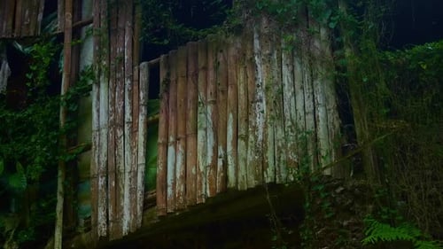 A close‑up shot of an old wooden hut with vertical planks showing rot and discoloration, vines