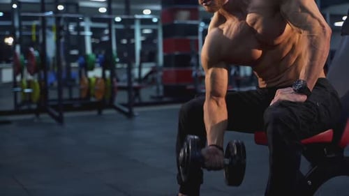 Muscular Man Lifting Weights in a Gym