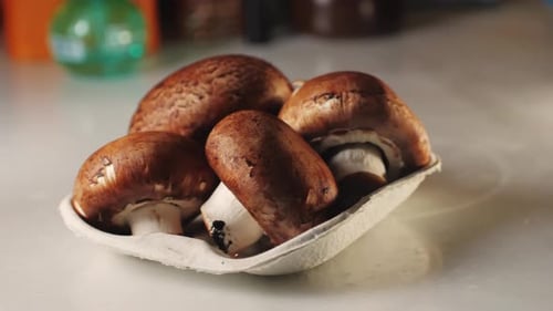 Fresh Champignon Mushrooms Big Portobello Macro Side View Background Chef Man Hold Supermarket Food