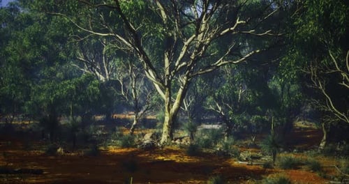 Lush Green Trees and Vibrant Underbrush in a Serene Forest Landscape