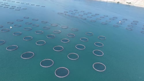 Aerial View Of Fish Ponds In The Dam Lake