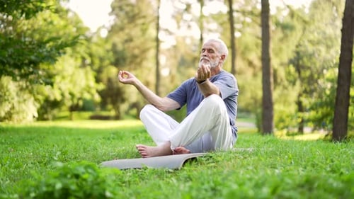 Senior Man Meditating Peacefully in Green Park