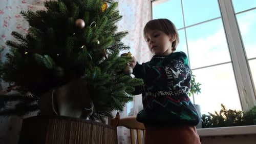Boy Decorating Christmas Tree in Home