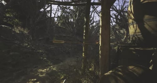 Arrow Striking a Wooden Post in a Thick Forest During Daylight Hours
