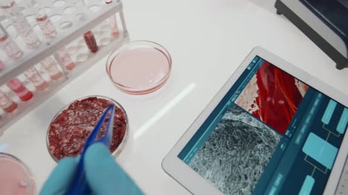 Cultured Meat Sample Analyzed in Laboratory Setting