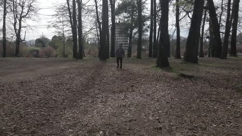 man walking into the camera alone in the woods in a park