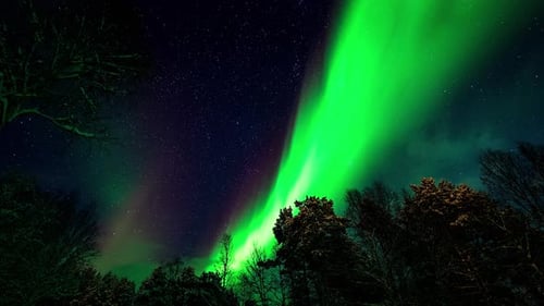 Mysterious green northern lights dazzling starry night sky, time-lapse