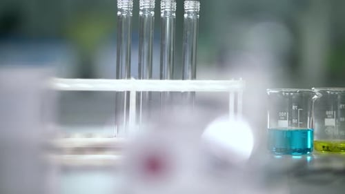 Laboratory Test Tubes and Beakers with Colorful Liquids