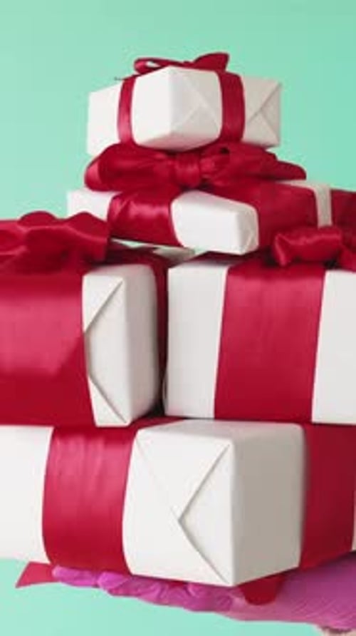Vertical Offering Presents Holiday Bonus Hand Box