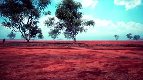 Vibrant Colors of the African Savanna Under a Bright Blue Sky During Midday